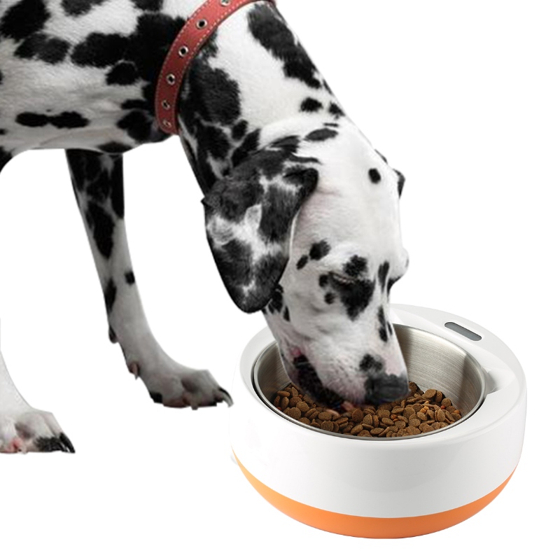 Smart Feeding Pet Bowl