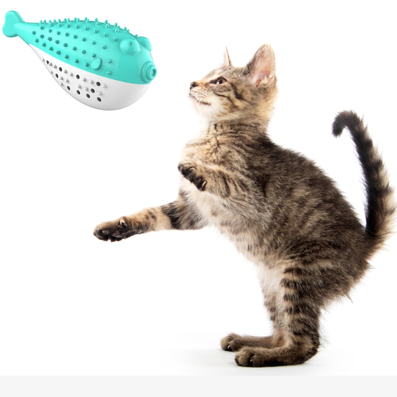 Furjoyz groothandel grappige huisdier speelgoed tandenborstel interactieve speelgoed draagbare kat intelligente schone tanden rubberen catnip kat speelgoed