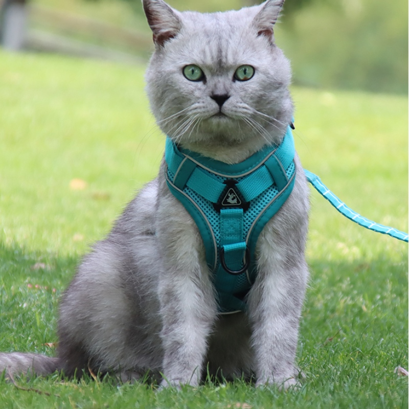 Mode Pet Vest Type Traction Borstband Kat Hond Verstelbare Intrekbare Tractie Touw Walking Dog Rope Collar